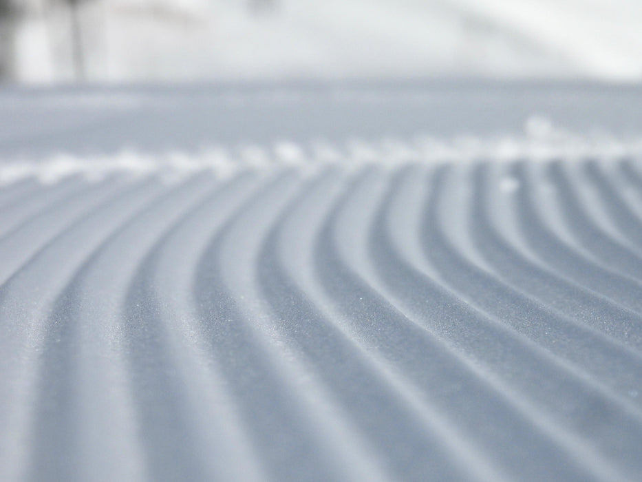 3-day GS training