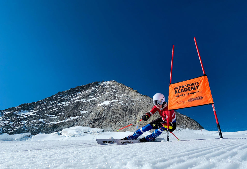 1-day GS training